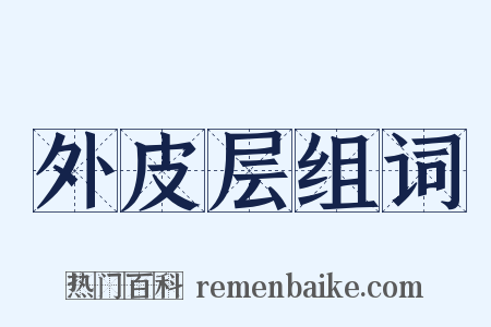 外皮层组词是什么意思的图片